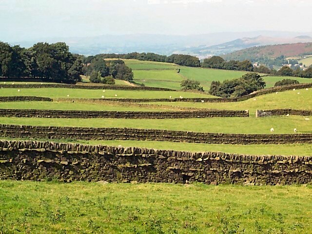 Foto “Steeton y Eastburn” tomada por David Spencer (CC BY-SA); recorte de la original