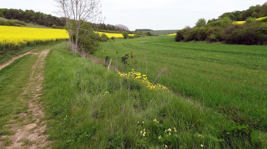 Photo "Boncourt" by X-Javier (CC BY-SA) / Cropped from original