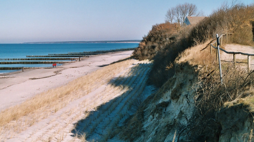 Photo "Ostseebad Ahrenshoop" by Dguendel (page does not exist) (CC BY) / Cropped from original