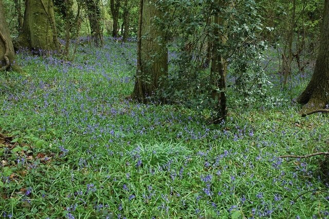 "Pirton"-foto av Philip Halling (CC BY-SA) / Urklipp från original