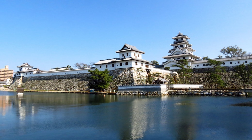 "Imabari Castle"-foto av redlegsfan21 (CC BY-SA) / Urklipp från original