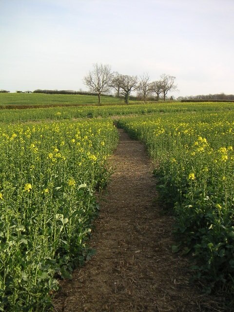 Foto „Akeley“ von Mr Biz (CC BY-SA)/zugeschnittenes Original