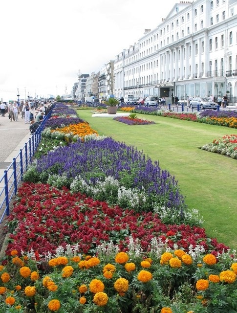Floral Display, Eastbourne Seafront This colourful show (photographed 14th August, 2009) is a credit to the Town's 'Parks and Gardens' department.