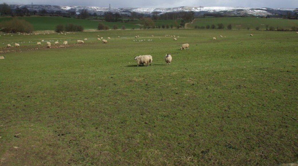 "Leake"-foto av Matthew Hatton (CC BY-SA) / Urklipp från original