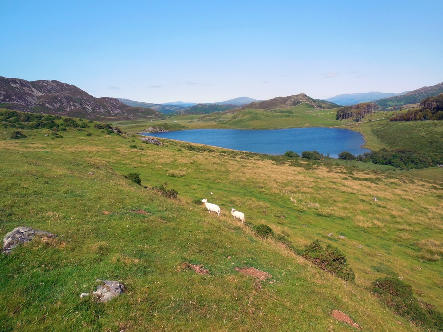 Cregennen Lakes
