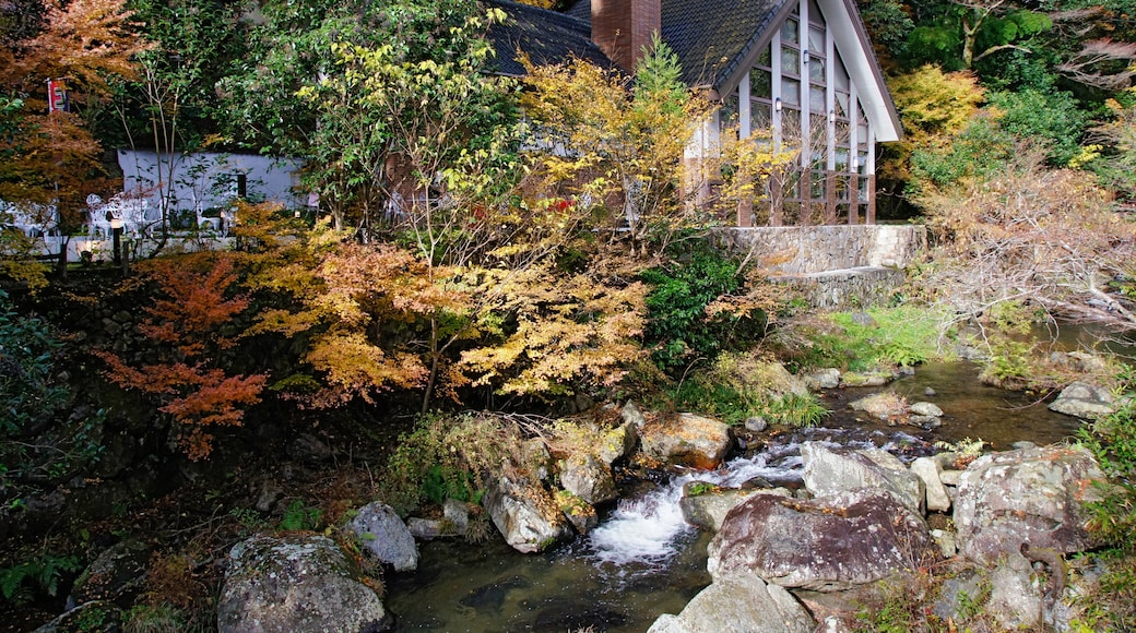 Photo "Rurikei Onsen" by 663highland (CC BY) / Cropped from original