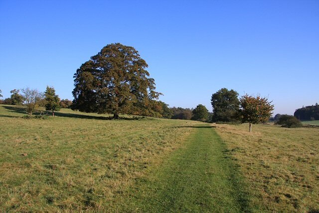 Ảnh "The Saxhams" của Bob Jones (CC BY-SA) / Cắt từ ảnh gốc