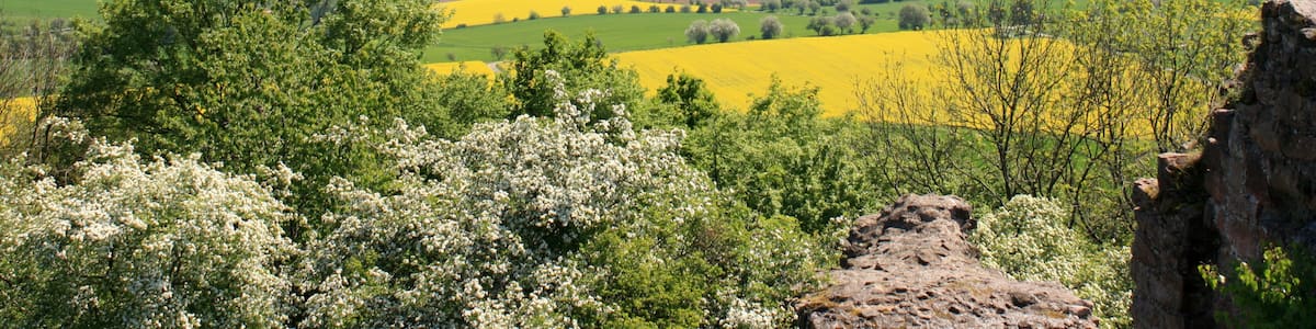 Photo "Blick von der Burgruine Frauenberg" by Hydro (Creative Commons Attribution-Share Alike 4.0) / Cropped from original