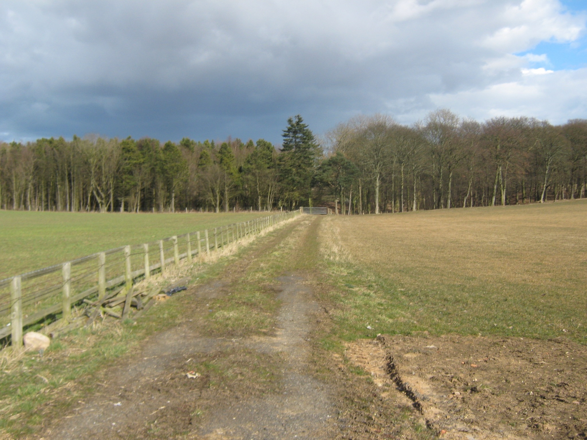 Kuva ”Wynyard” käyttäjältä peter robinson (CC BY-SA) / rajattu alkuperäisestä kuvasta