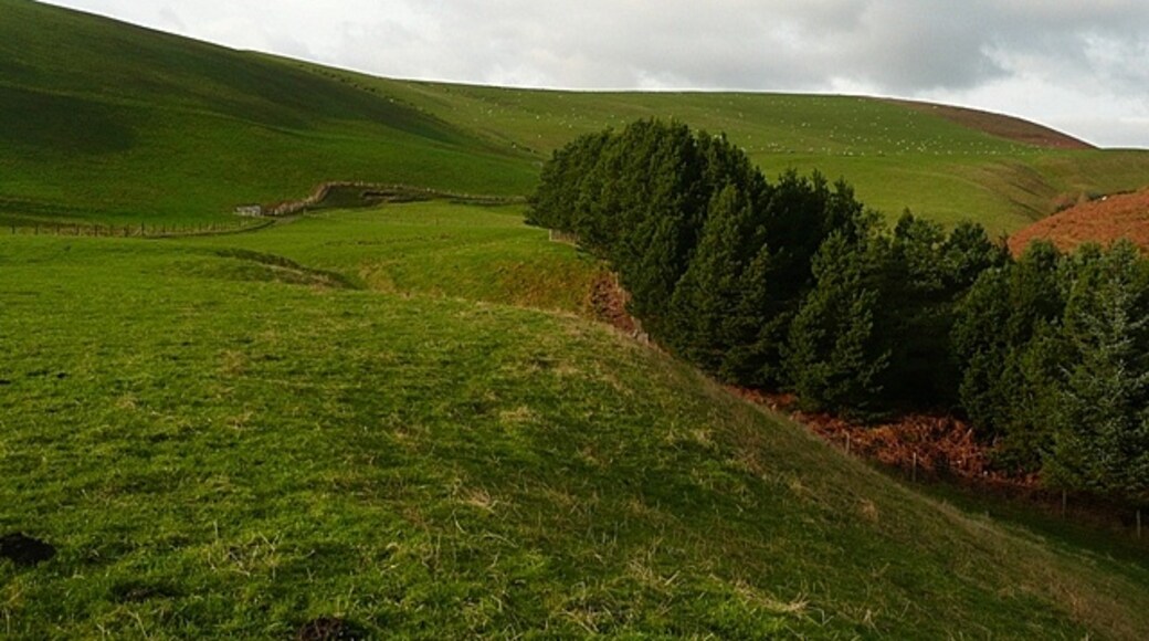 Photo "New Radnor" by Graham Horn (CC BY-SA) / Cropped from original