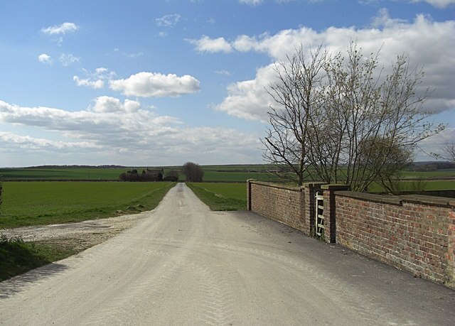 Kuva ”Grindale” käyttäjältä michael ely (CC BY-SA) / rajattu alkuperäisestä kuvasta