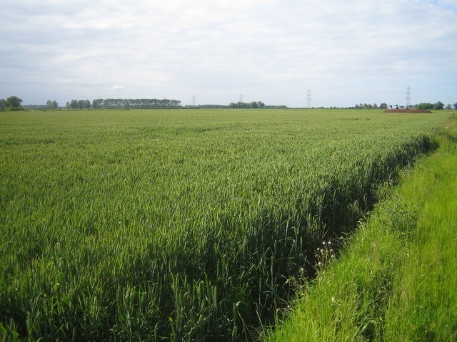 "Boothby Graffoe"-foto av Matthew Smith (CC BY-SA) / Urklipp från original