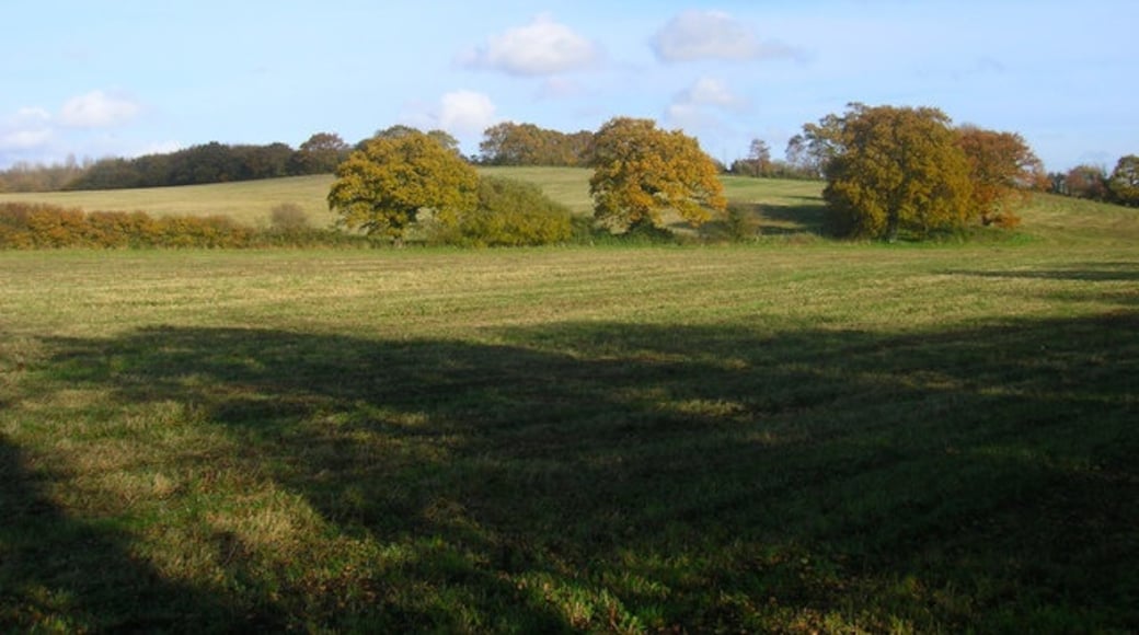 Foto "Fulking" por Simon Carey (CC BY-SA) / Recortada de la original