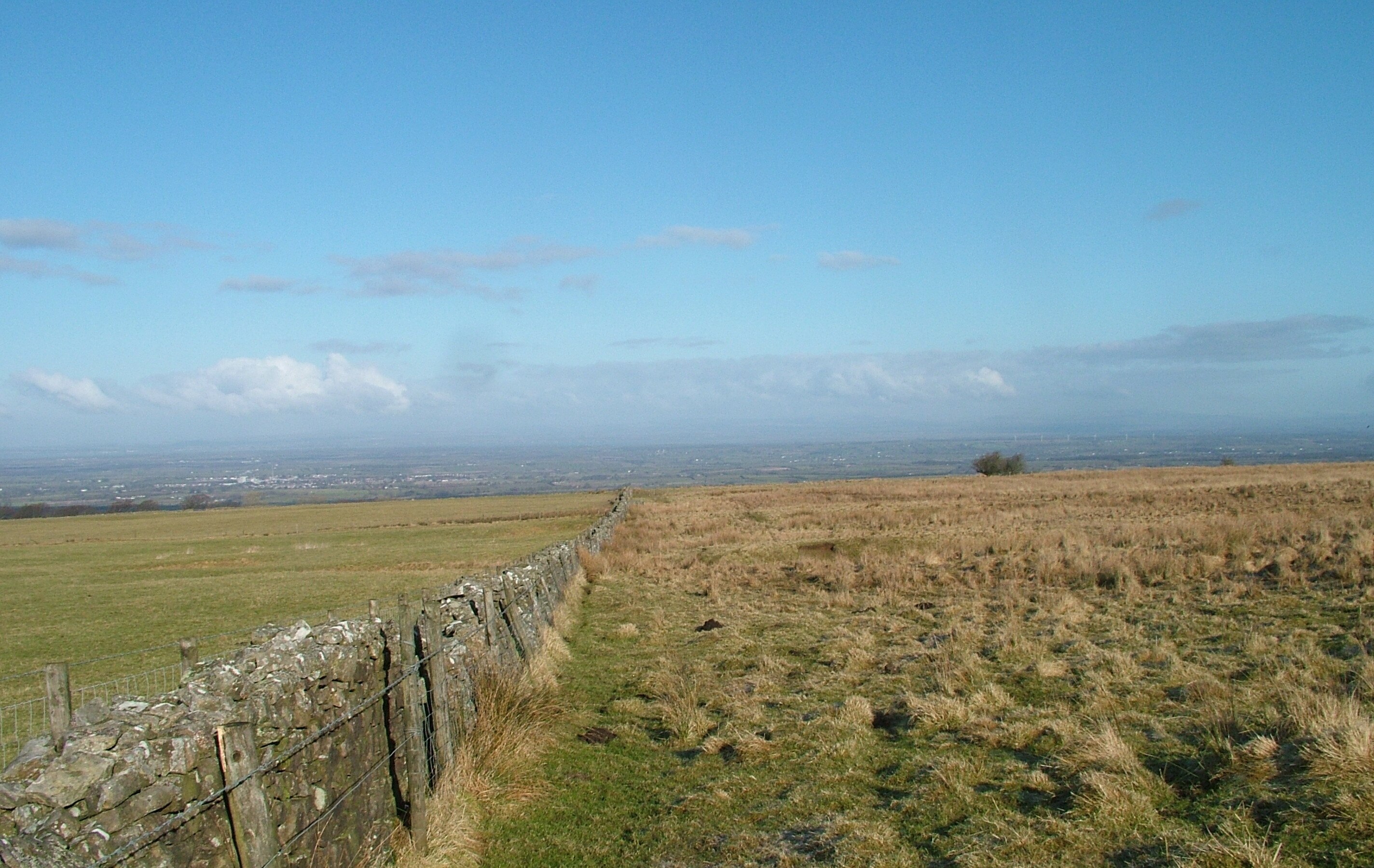 Kuva ”Boltons” käyttäjältä David Brown (CC BY-SA) / rajattu alkuperäisestä kuvasta