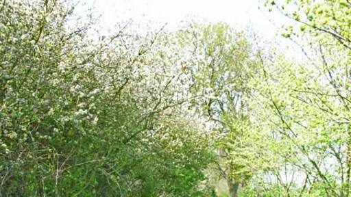 Foto „Little Stainton“ von Oliver Dixon (CC BY-SA)/zugeschnittenes Original