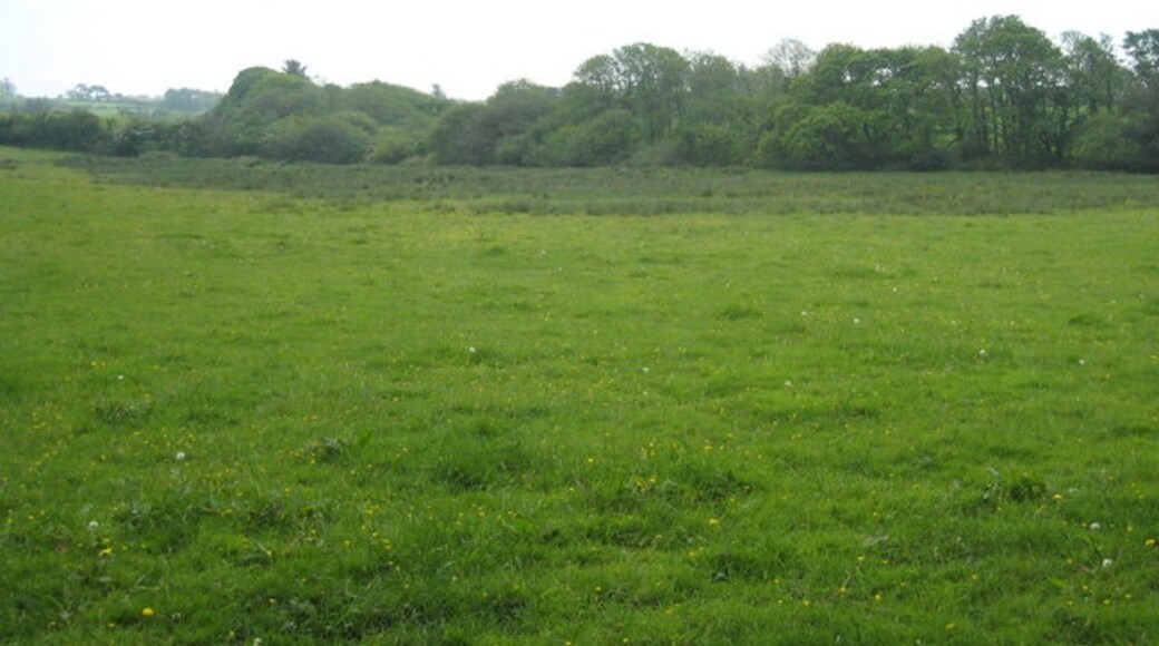 Kuva ”Budock” käyttäjältä Rod Allday (CC BY-SA) / rajattu alkuperäisestä kuvasta