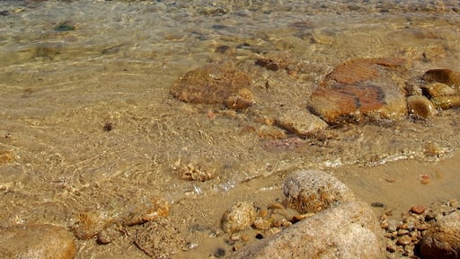 写真「色浜」 投稿者 ThisIsThe_Kiwi 様 (CC BY) / 元の写真からトリミング