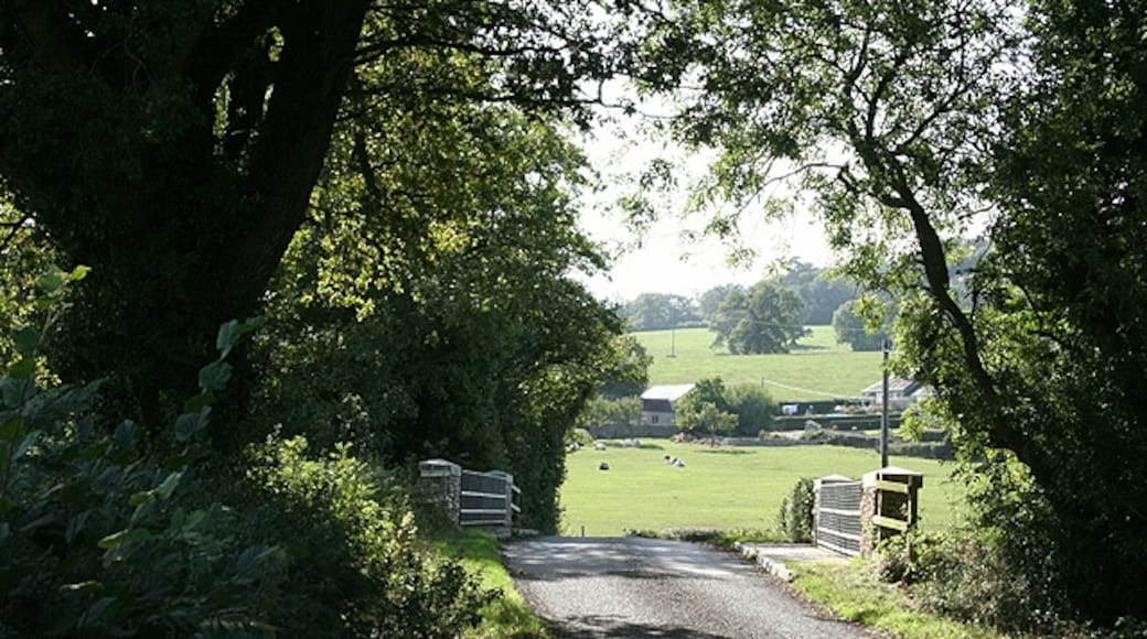 "Whitestaunton"-foto av Martin Bodman (CC BY-SA) / Urklipp från original