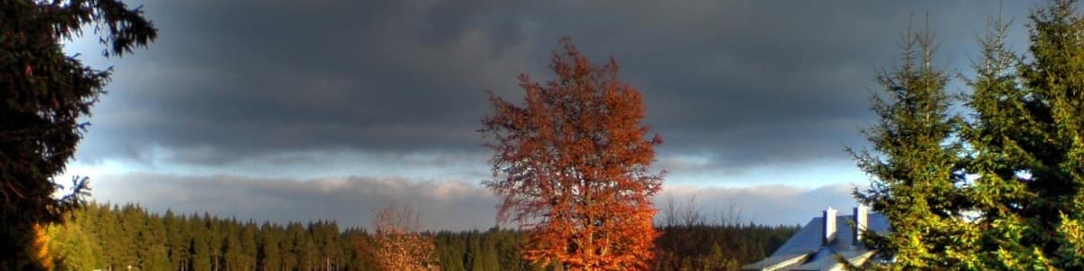 Photo "Friedrichshöhe" by holger mohaupt (Creative Commons Attribution-Share Alike 3.0) / Cropped from original