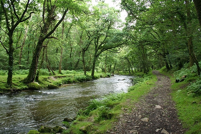 Whitchurch: the Walkham valley Looking south near the old Elvan quarry, with the river Walkham running well after June rains