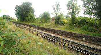 Remains of Selsdon station, Oxted Line platforms looking south towards Sanderstead.