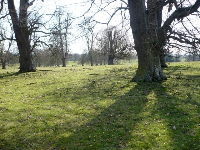 Footpath across Syndale Park To the east of the drive leading to Syndale Park Motel, this path leads to Water Lane, Ospringe.