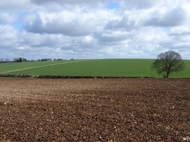 White Hill. I imagine this slight rise would look pretty white after being freshly ploughed. Viewed from Andwell Drove to the west.