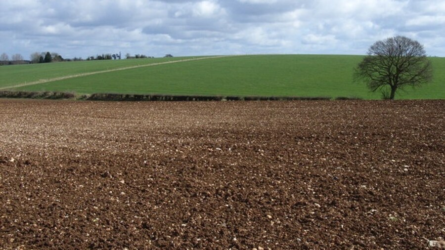 Photo "White Hill. I imagine this slight rise would look pretty white after being freshly ploughed. Viewed from Andwell Drove to the west." by Andrew Smith (Creative Commons Attribution-Share Alike 2.0) / Cropped from original