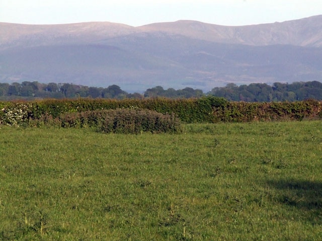 Field beside a country road. A field beside a country road, from this location there are great views of the Snowdonia mountains