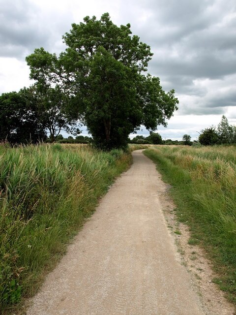 Photo "Hook" by Andy Beecroft (CC BY-SA) / Cropped from original