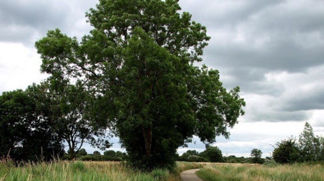 Photo "Hook" by Andy Beecroft (CC BY-SA) / Cropped from original