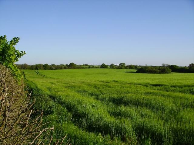 "Moreton Say"-foto av Paul Roberts (CC BY-SA) / Urklipp från original