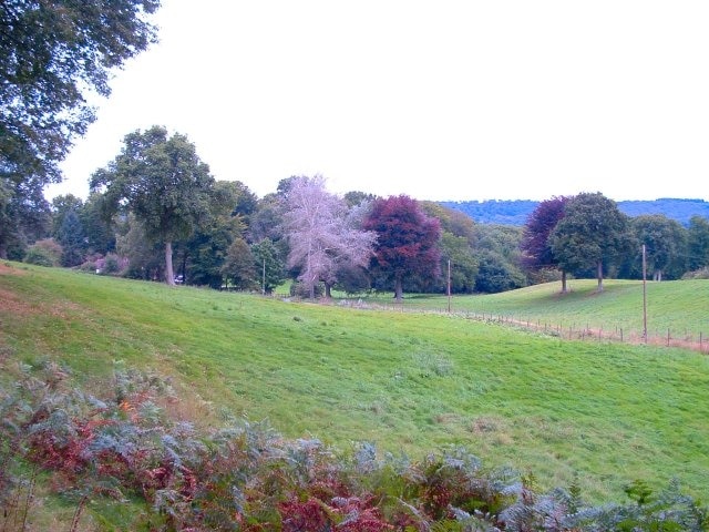 Trotton Marsh, Rogate, West Sussex. Parkland below Rondle Wood confusingly called 'Trotton Marsh' on the map.