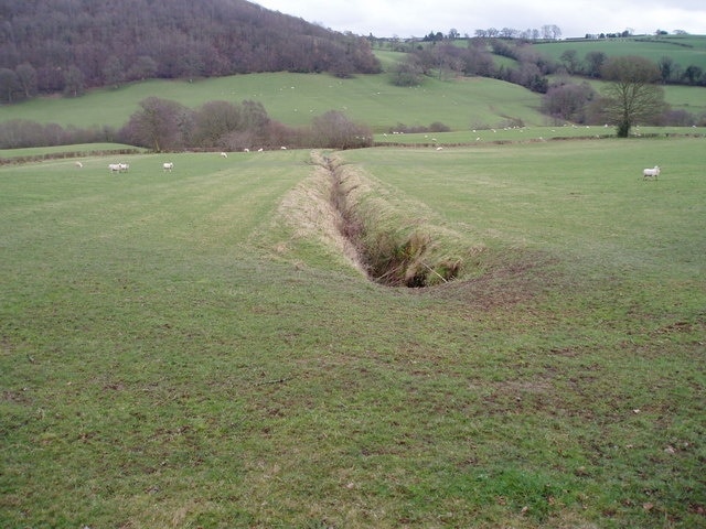 Ditch A ditch bisecting a field like a scar, near Pentre farm, Clocaenog. Looking east towards Coed y Fon Wyllt Uchaf.