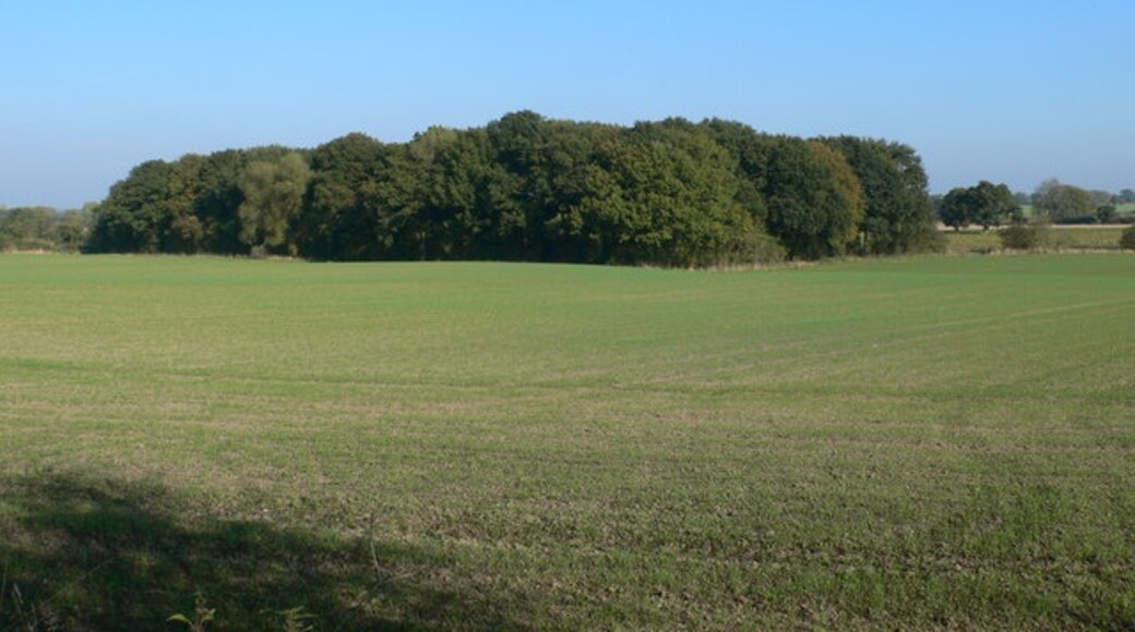 "Loppington"-foto av Eirian Evans (CC BY-SA) / Urklipp från original