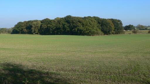 "Loppington"-foto av Eirian Evans (CC BY-SA) / Urklipp från original