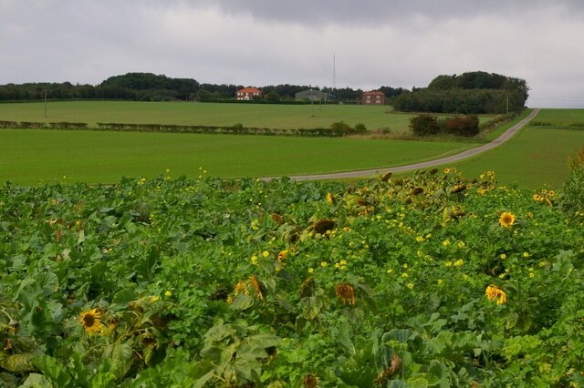 Photo "Kirby Grindalythe" by Charles Rispin (CC BY-SA) / Cropped from original