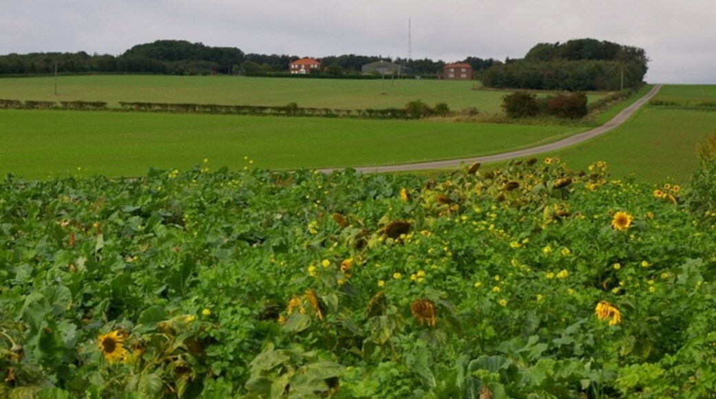 Photo "Kirby Grindalythe" by Charles Rispin (CC BY-SA) / Cropped from original