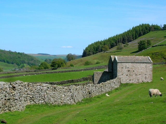 Wall and barns above Grinton