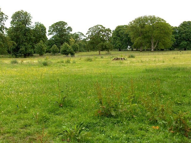 Quarley Park Looking towards the church which is hidden by the trees.