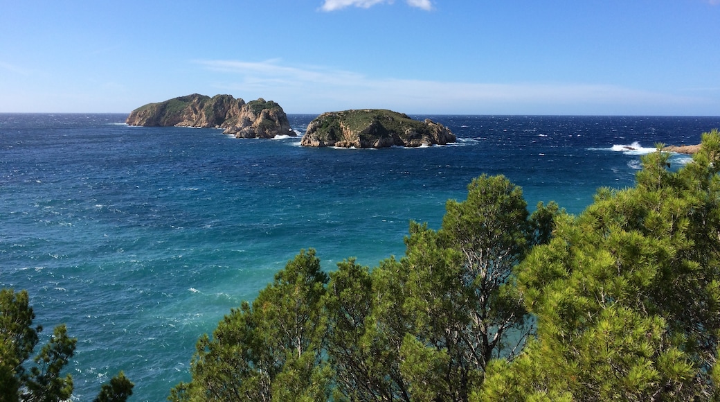 Photo "Santa Ponsa" by Sergei Gussev (CC BY) / Cropped from original