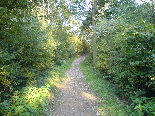 Path to Bank Top Looking up the path to Bank Top from Whitelands Road.