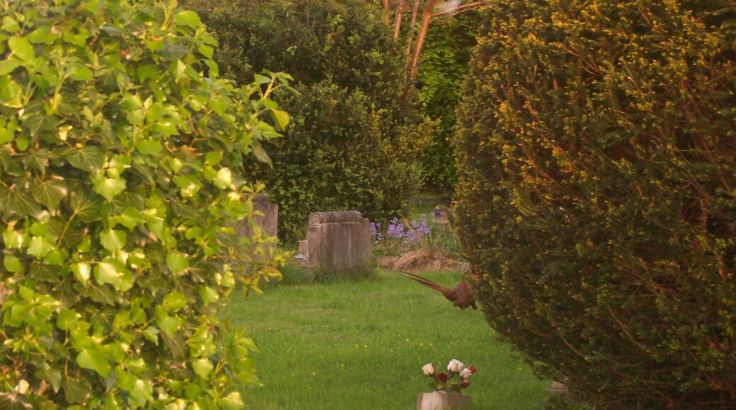 Photo "Longden" by QinetiQ (CC BY) / Cropped from original