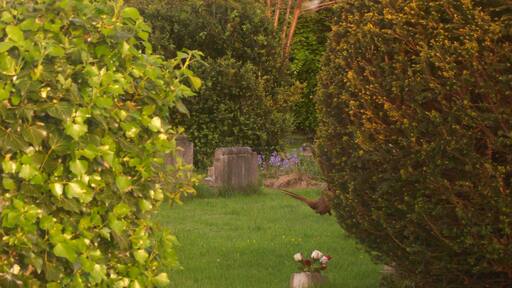 Foto “Longden” tomada por QinetiQ (CC BY); recorte de la original