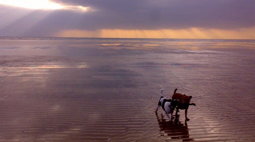 Photo "Pendine Beach" by Pan Dodd-Noble (CC BY-SA) / Cropped from original