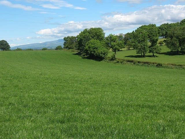 "Waitby"-foto av Stephen Craven (CC BY-SA) / Urklipp från original