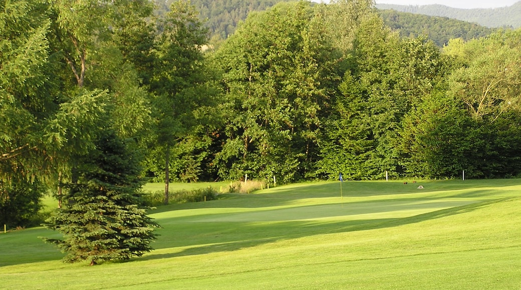 Photo "Golfclub Markgräflerland" by marchess (CC BY-SA) / Cropped from original