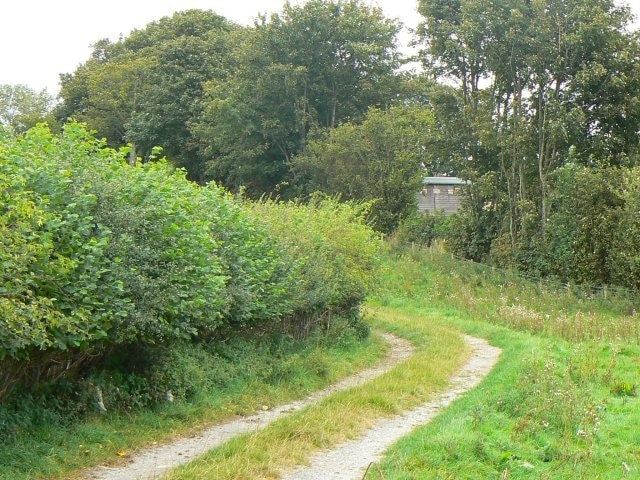 Track to the fort Track leading to the ancient Ffinnant hill fort.