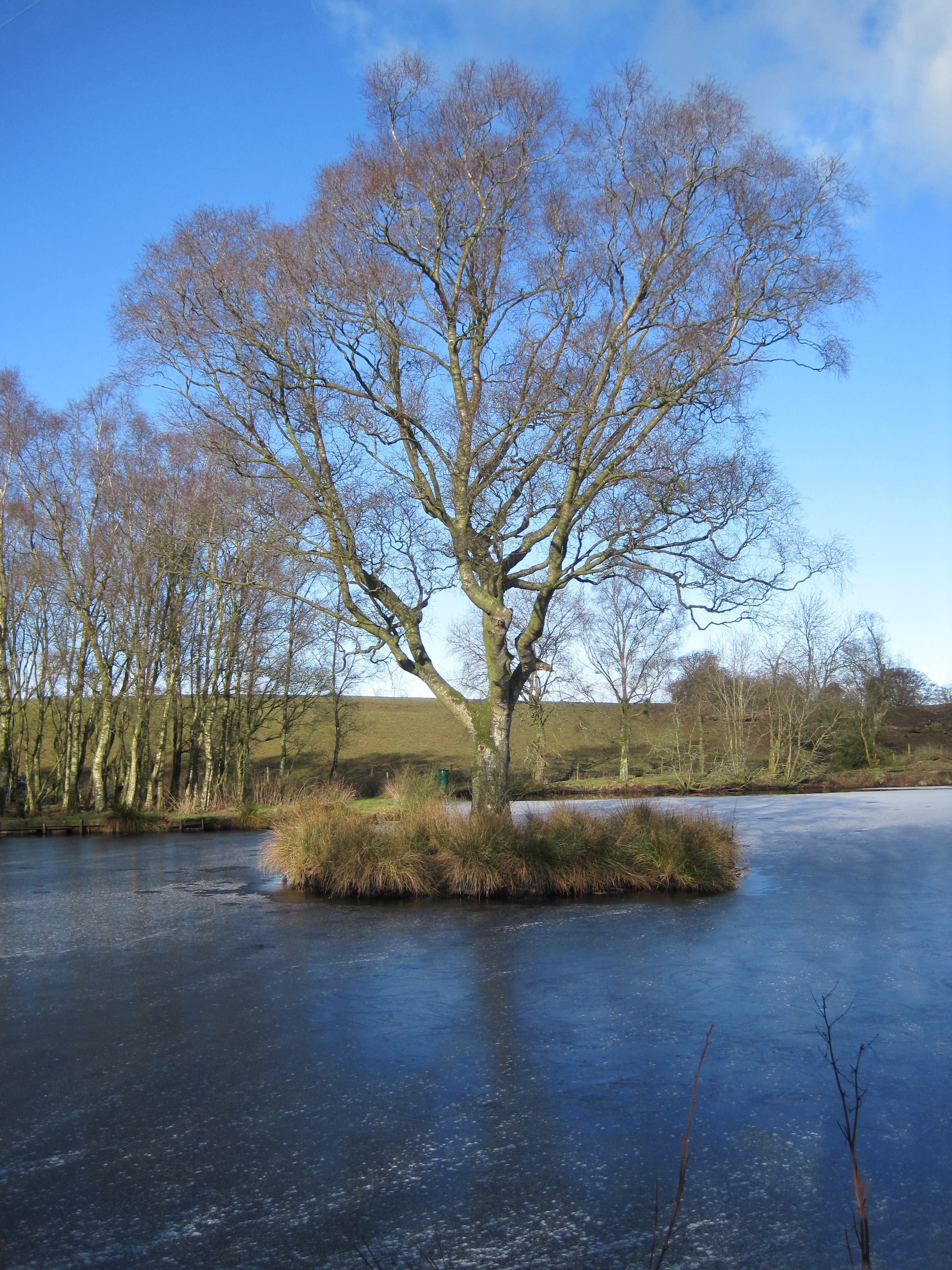 "Stapleton"-foto av Andy Connor (CC BY-SA) / Urklipp från original