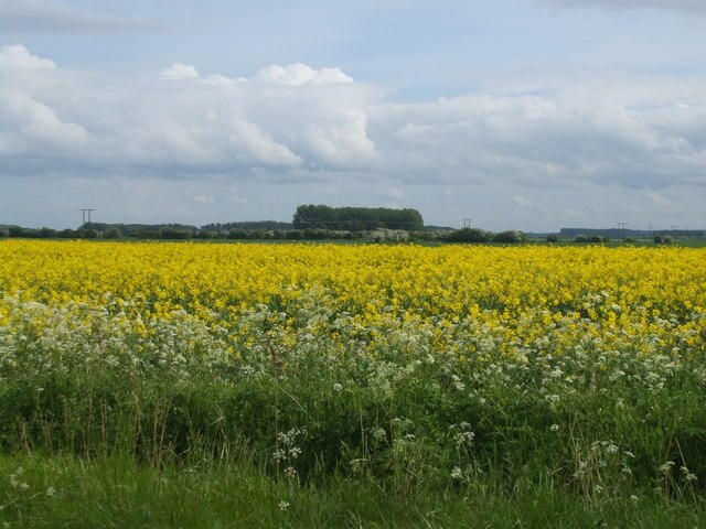 Kuva ”Roxby cum Risby” käyttäjältä Glyn Drury (CC BY-SA) / rajattu alkuperäisestä kuvasta